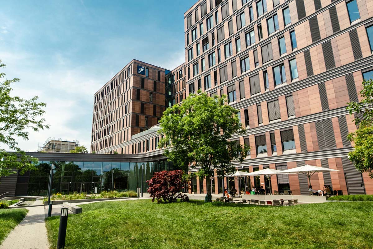Frankfurt School of Finance & Management